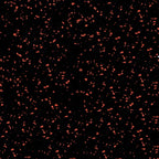 Rubber Flooring Rolls